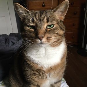 Meet your Posher, Ashley